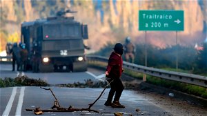Chileense bosbouwbedrijven stappen naar de rechter vanwege aanhoudend geweldadig conflict in zuiden van Chili