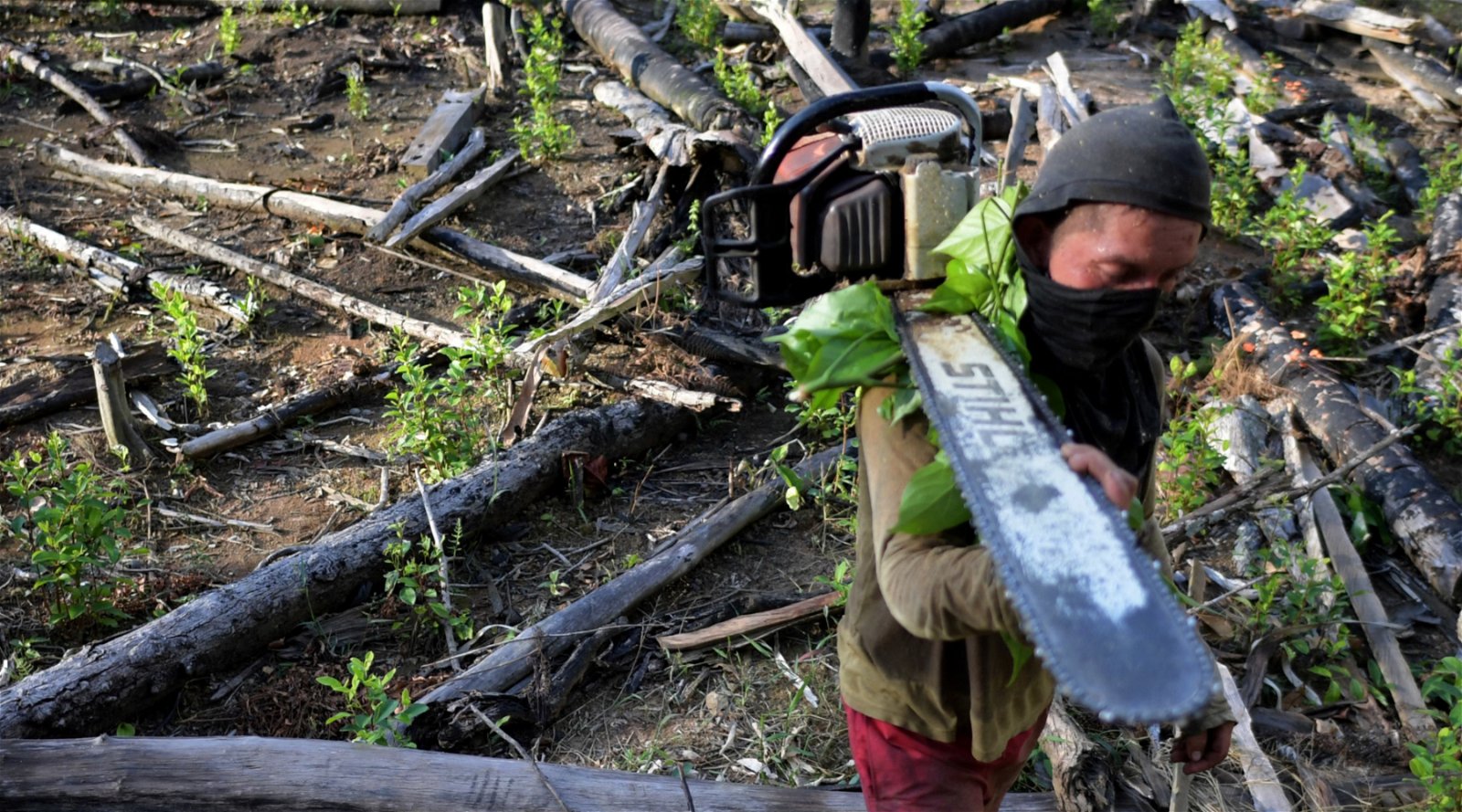 Is trade between the EU and South America hindered by the environment?