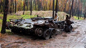 Oorlog in Oekraïne is allesverwoestend: schade aan ecosysteem wordt geschat op ruim 35 miljard dollar