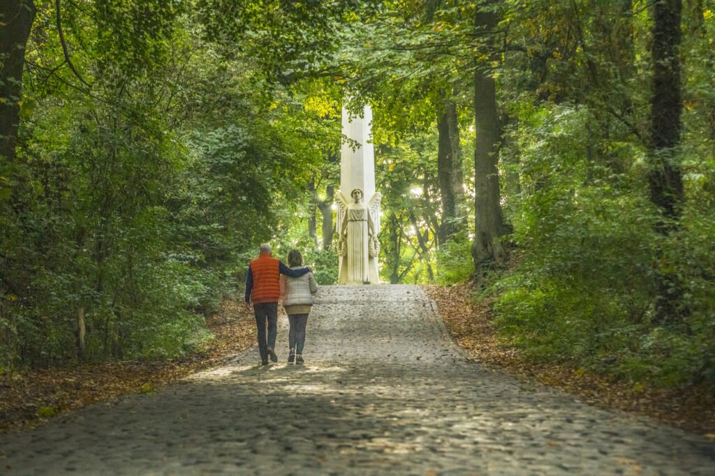 De mooiste panorama's van Heuvelland in een namiddagje stevig stappen