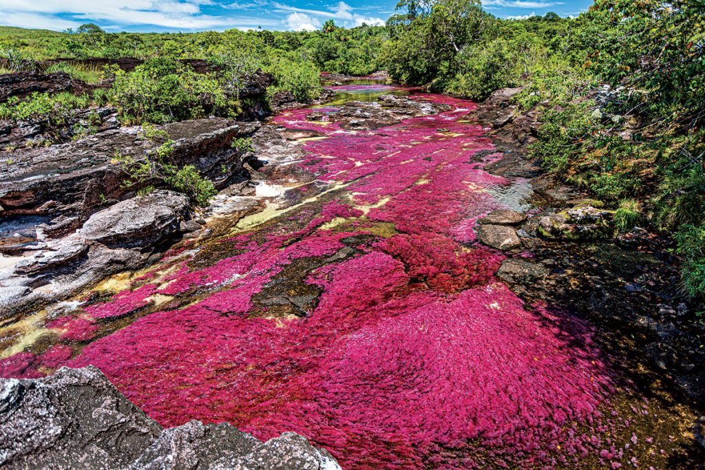Caño Cristales, Meta (Colombia)
