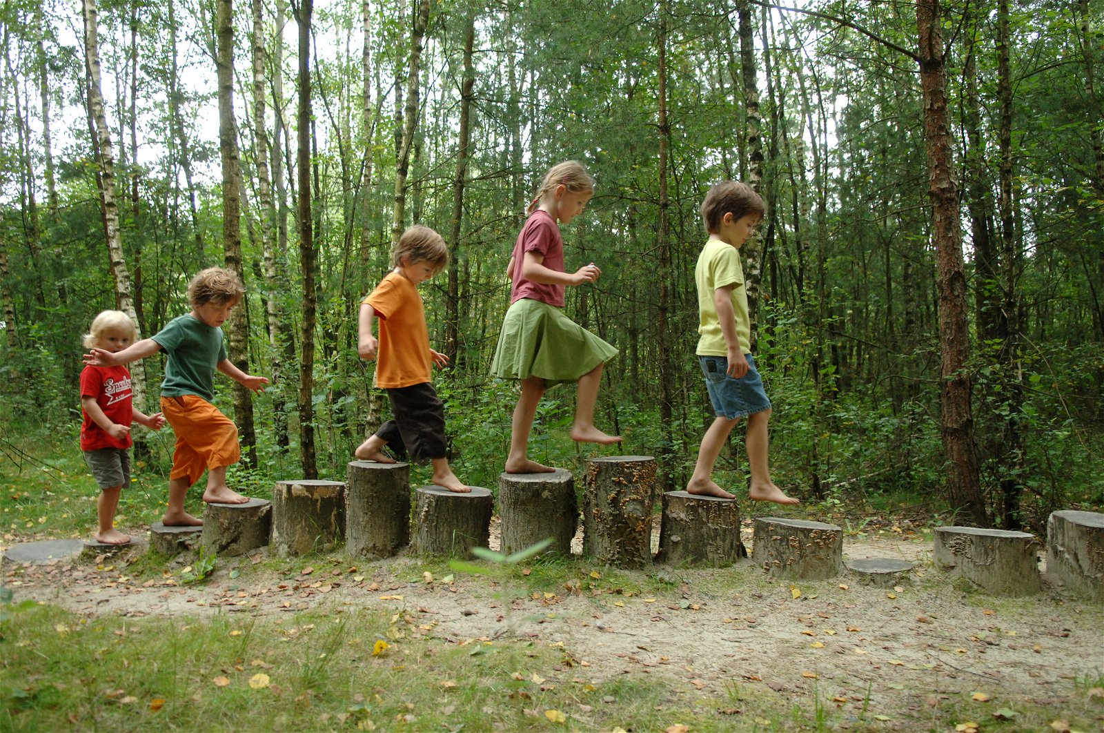 Week van het bos: dit zijn de 5 leukste speelbossen in Vlaanderen - Business AM