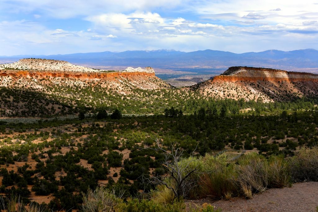 Van Adalles naar LA: kunst, kitsch en hamburgers