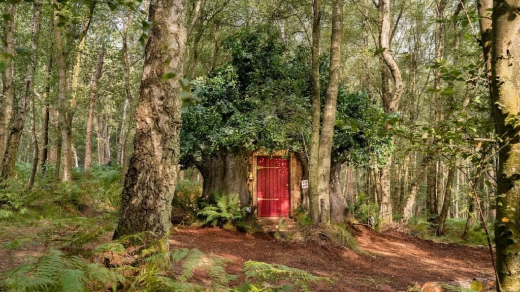 Airbnb Winnie de Poeh