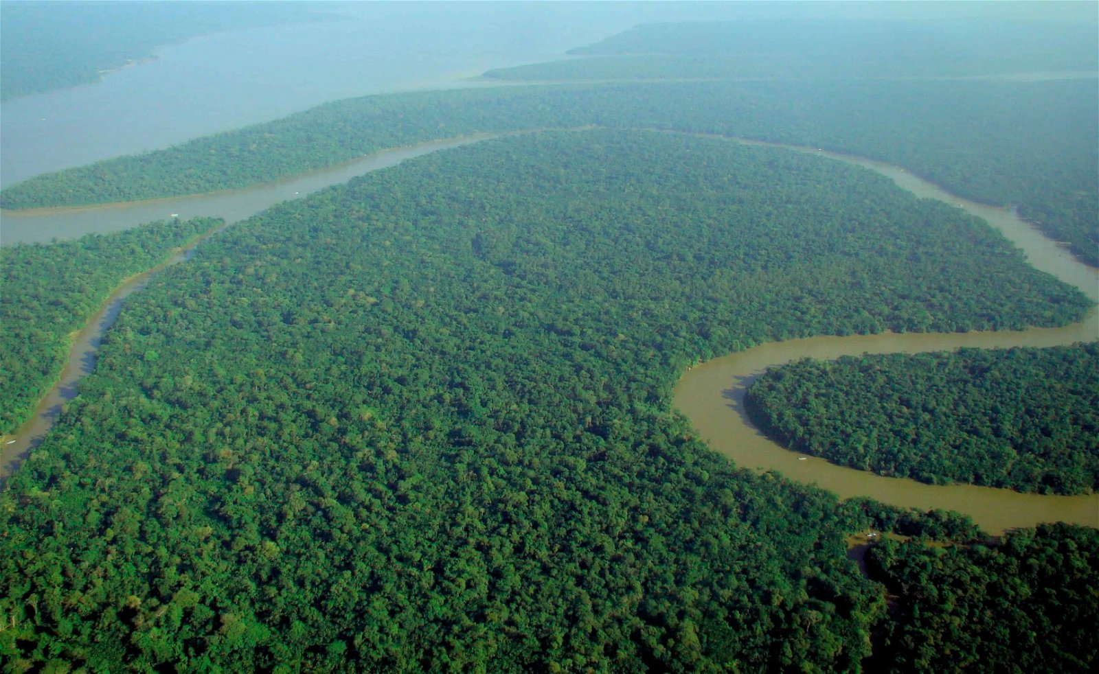 De Amazone-rivier kronkelt door de jungle.