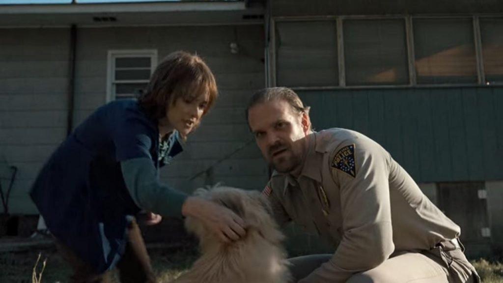 David Harbour Chester