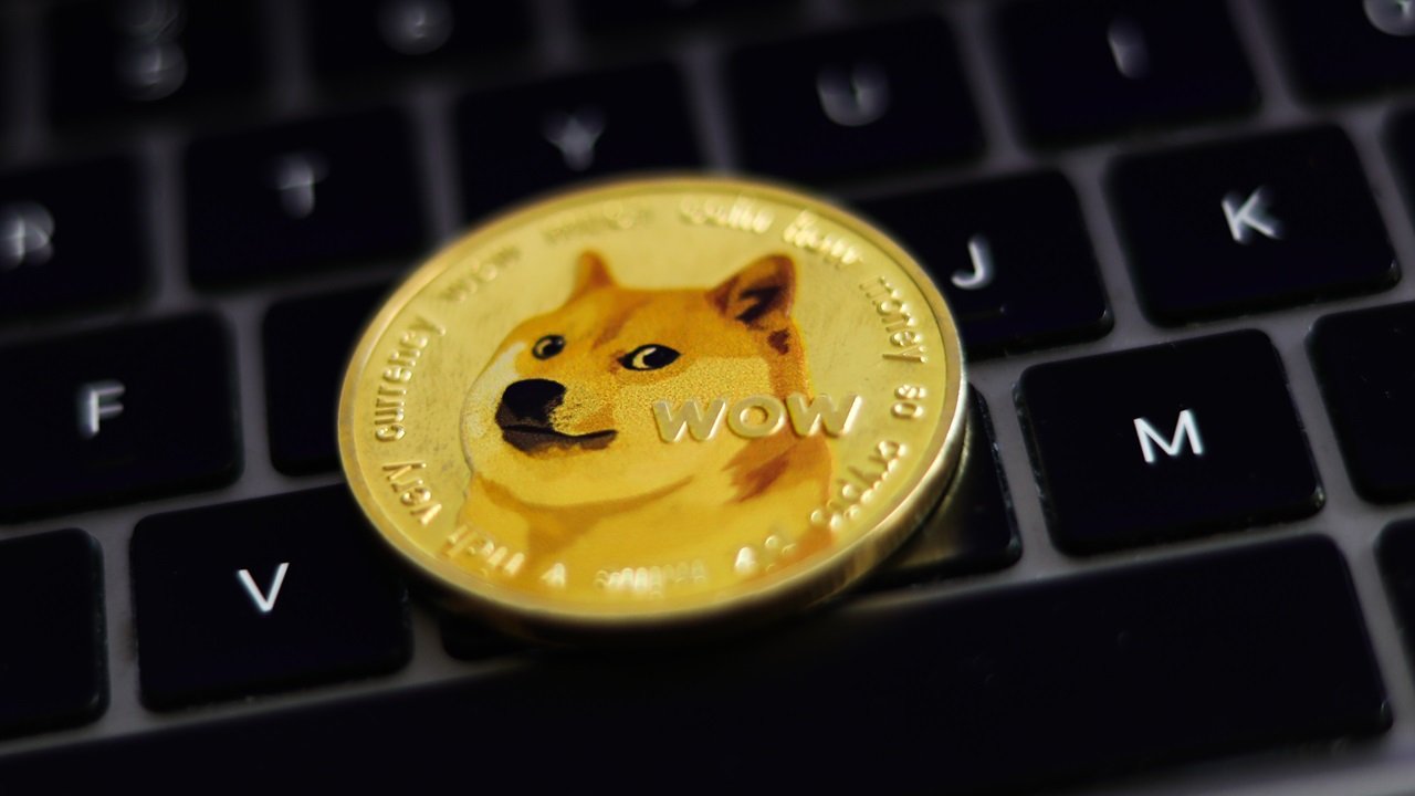 Kabosu, the Shiba Inu behind the meme and Dogecoin, has died