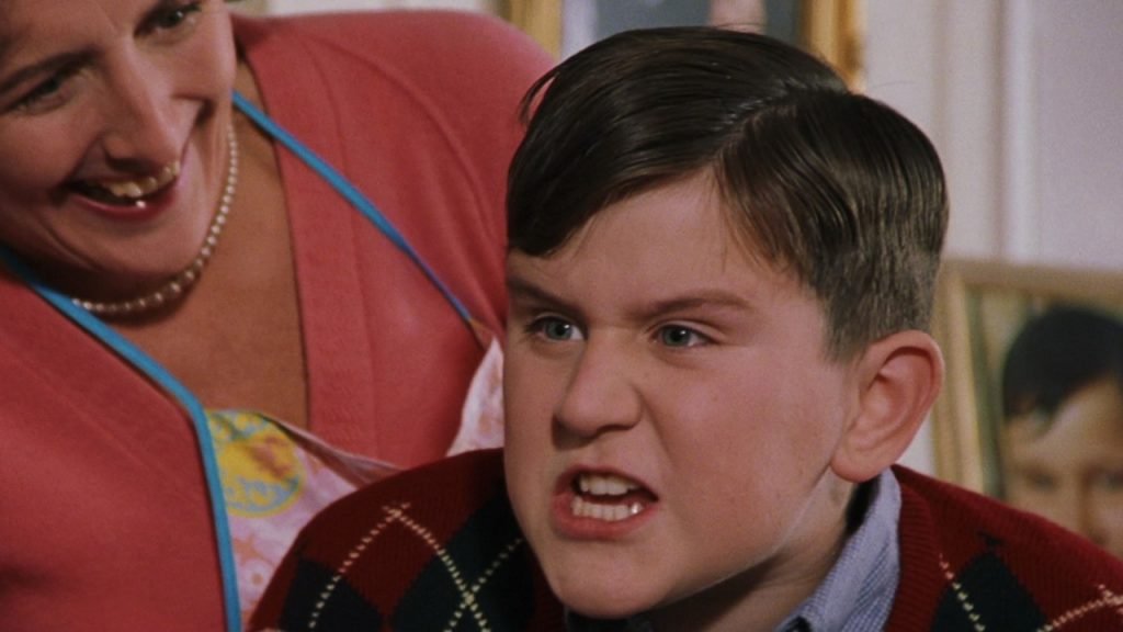 Dudley Dursley Harry Potter