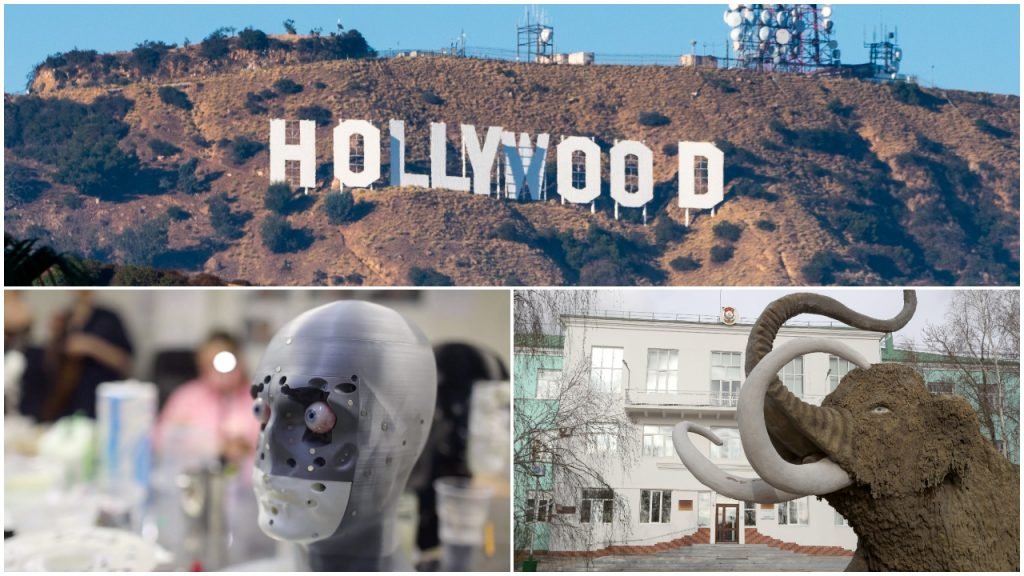 Hollywood lens mammoet