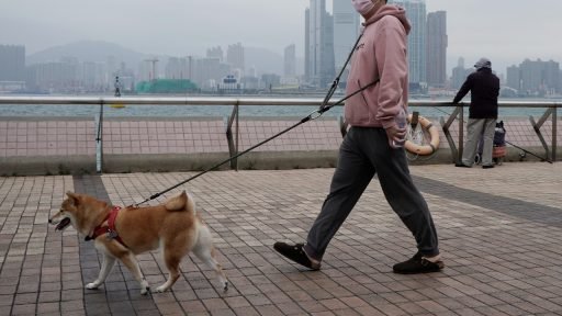 Hongkong huisdieren