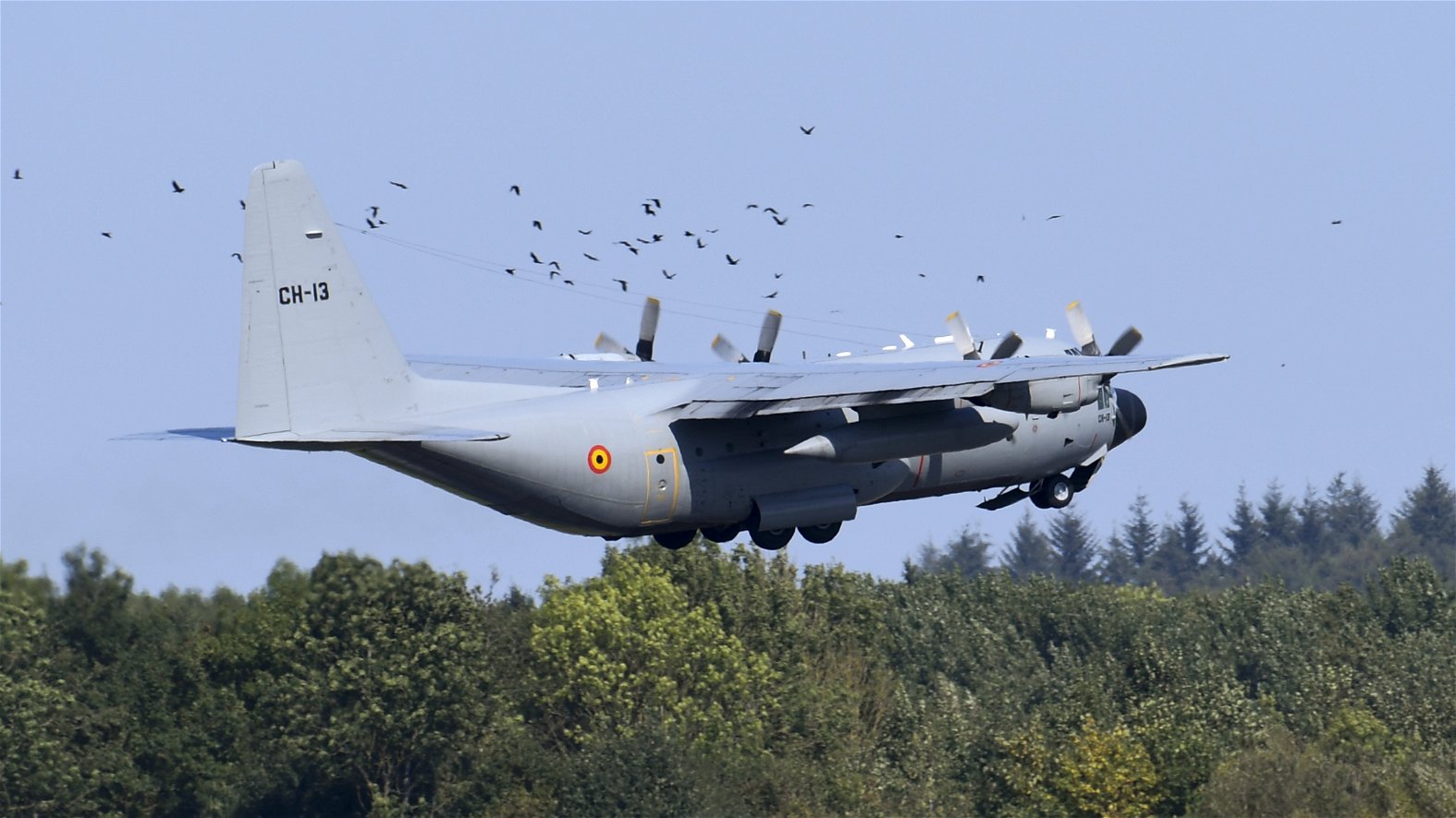 La Belgique s’apprête à dire adieu à ses bons vieux C-130 Hercules après 50 ans de service