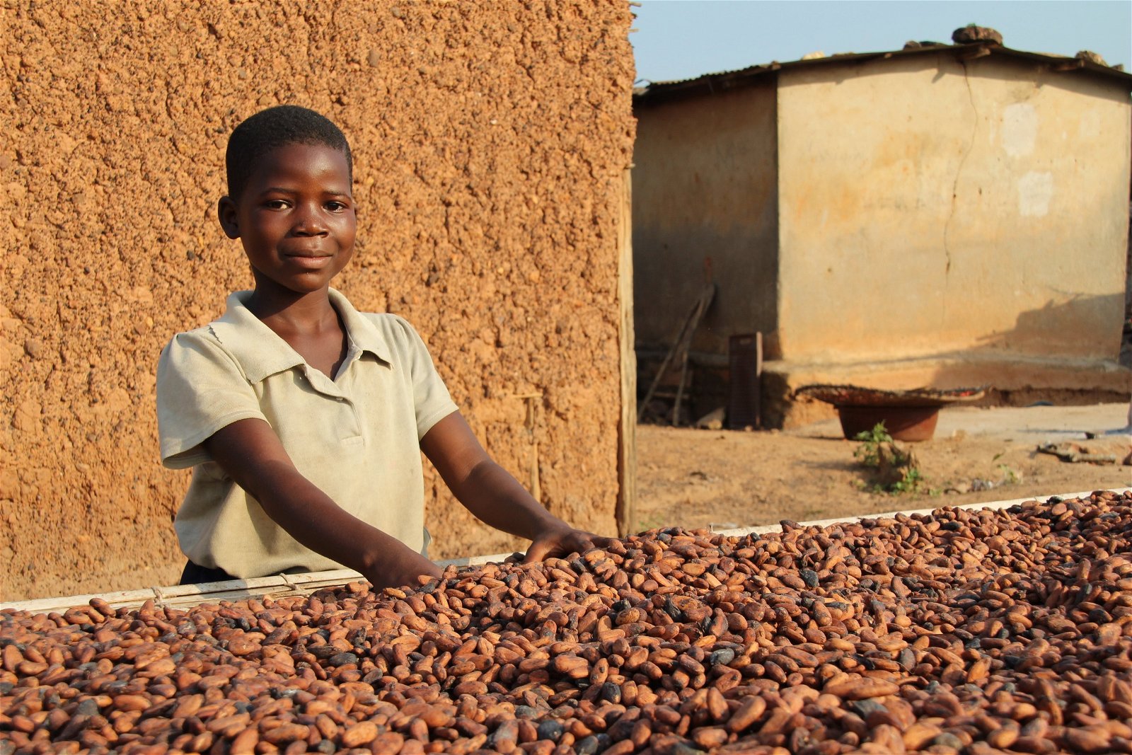 L industrie Du Chocolat N a Jamais Autant Fait Travailler Les Enfants l-industrie-du-chocolat-n-a-jamais-autant-fait-travailler-les-enfants