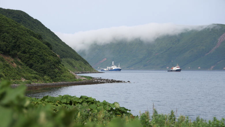 Japan veroordeelt Poetins bezoek aan de betwiste Koerilen-eilanden
