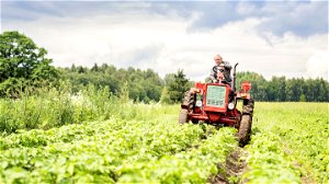 Oostenrijk gebruikt ruimtetechnologie voor controle op landbouwsubsidies