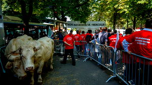 Frankrijk verzet zich tegen EU-Mercosur-deal met Argentinië en Brazilië