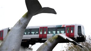 Ongeval met metro boven walvissculptuur in Nederland zorgt voor hallucinante beelden