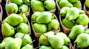 België derde grootste perenproducent van de EU