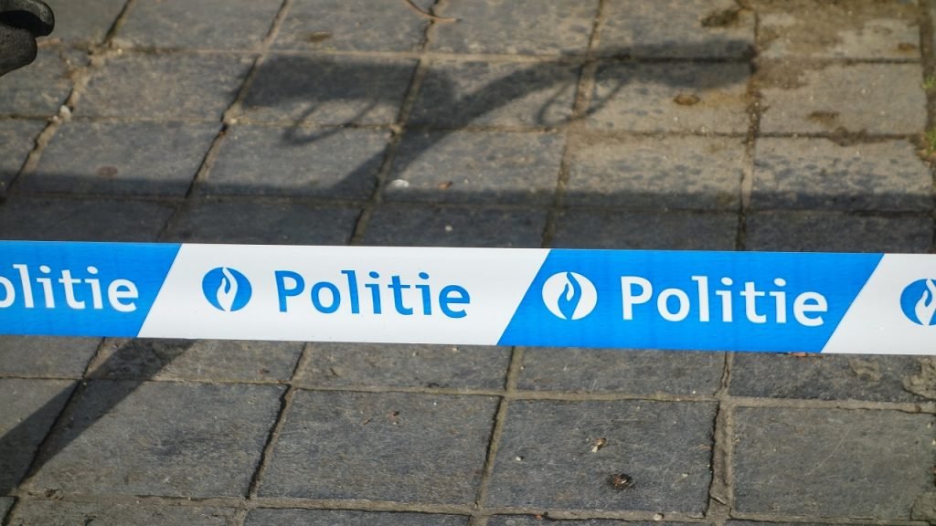 Politielint