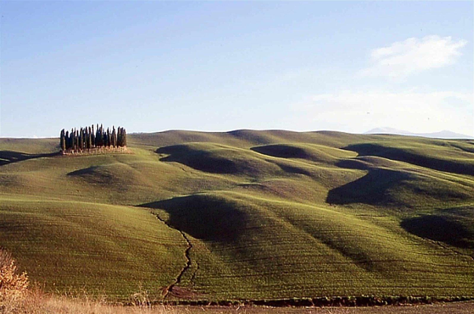 Een heuvelachtige vallei in San Quirico d'Orcia.