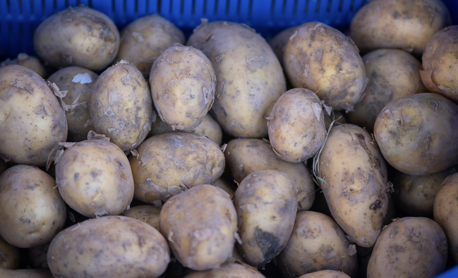 Aardappelfutures stijgen met 705 procent door vrees voor conflict met Iran