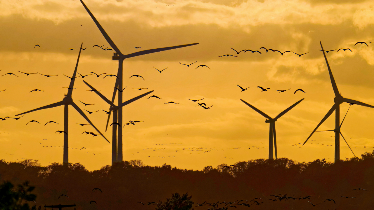 EU bespaart 51 miljard euro door over te stappen op hernieuwbare energie