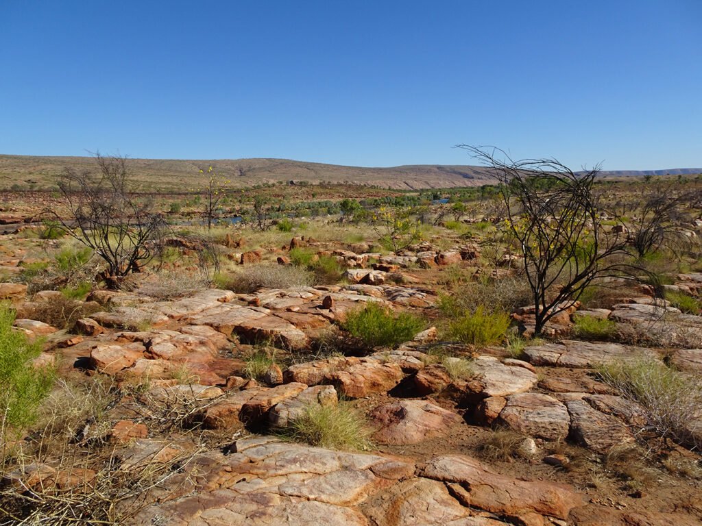 Weg van het platgereden pad - Australië