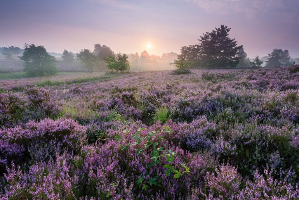 De mooiste fotolocaties van België
