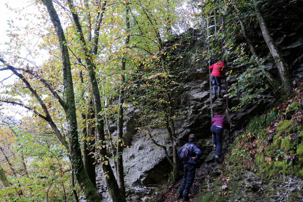 10 tips om de Ardennen te (her)ontdekken - Les Echelles de Rochehaut