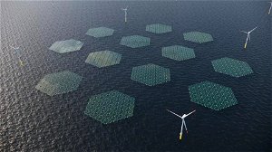 SolarDuck en RWE bouwen drijvende zonnepanelen voor kust van Oostende