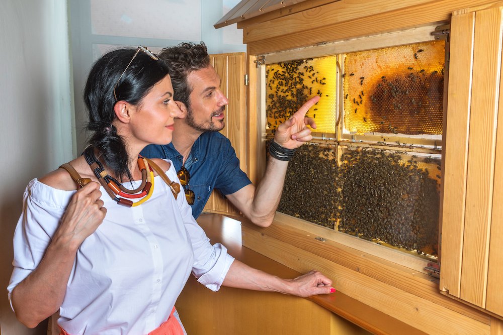 5 leuke adresjes in Bled - Beekeeping Museum