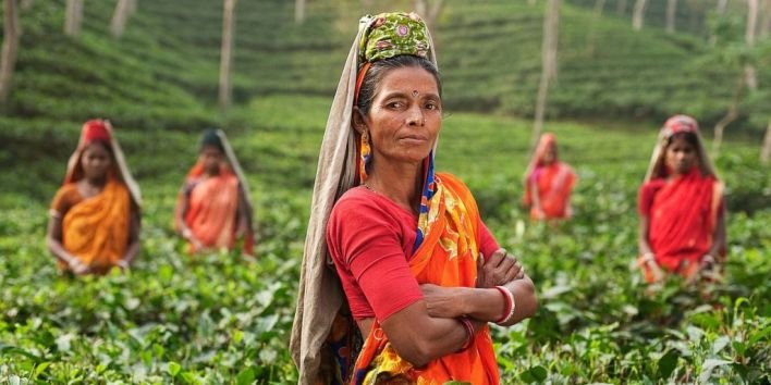 india woman agriculture colors