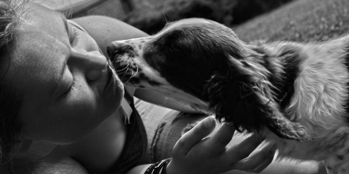 puppy dog kiss girl woman lick