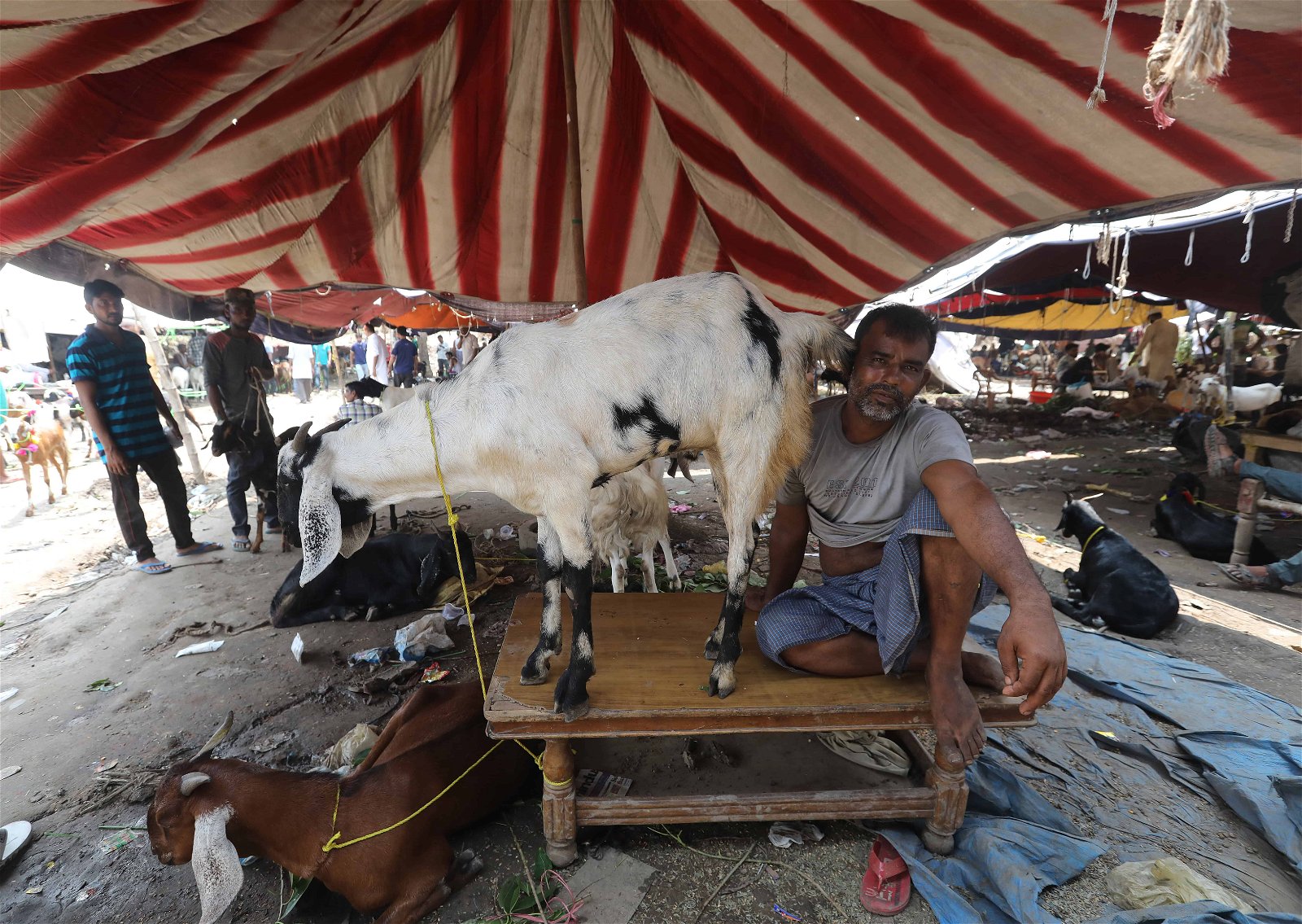 Een man zit naast een geit op tafel in een tent in India.