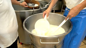 La production de fromage belge a augmenté de 25 pour cent en 2024