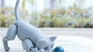 MarsCat is de robotkat die liefde uitdeelt