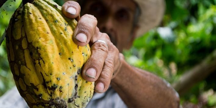 man-hand-fruit-papaya-costa-rica