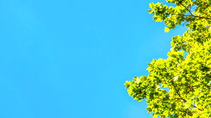 Nieuw wetenschappelijk DOE-rapport: er is geen klimaatcrisis