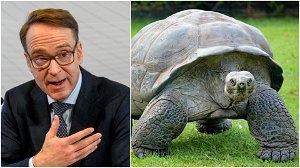 Baas Bundesbank vergelijkt inflatie met de Galapagosreuzenschildpad: “Ten onrechte als uitgestorven beschouwd”
