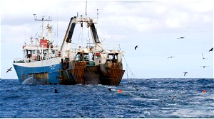 Zijn Britse visvergunningen voor Franse vissers illegaal?