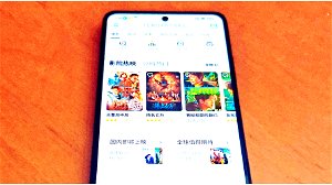 Chinese appwinkels een stuk leger door regelgeving