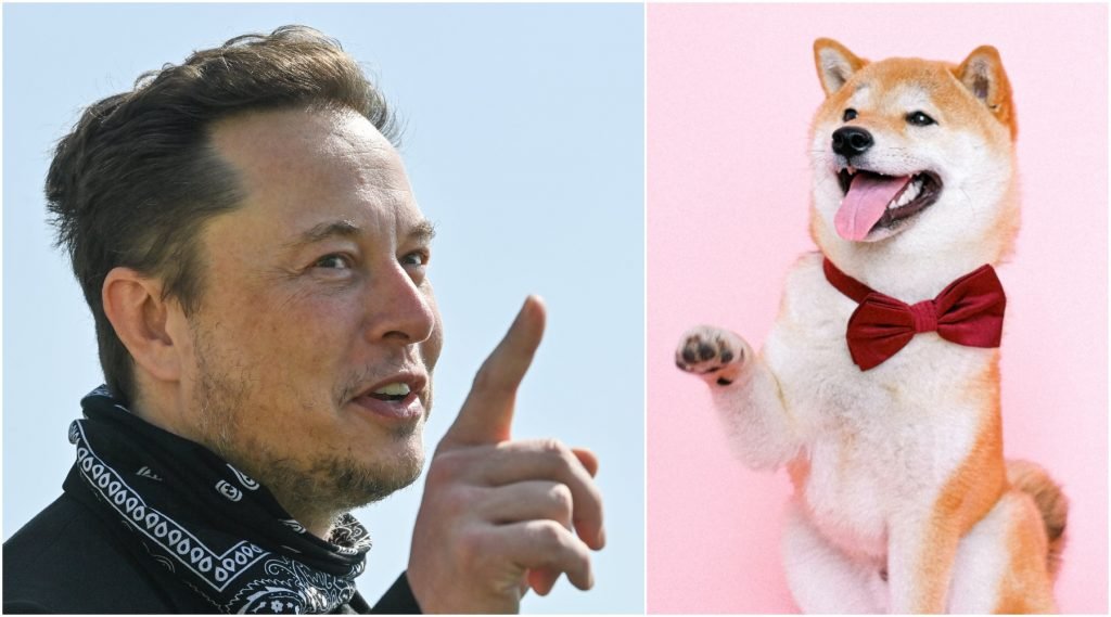 Elon Musk en een Shiba Inu-hondje.
