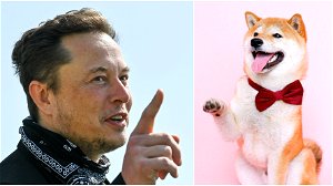 Het Musk-effect: koers van cryptomunt Santa Floki steeg met 18.800 procent na kersttweets van de Tesla-CEO