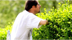 Vanaf 1 september mag je voor bepaalde zaken de tuin van je buur betreden: waar moet je op letten?