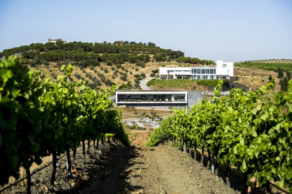 Ontdek dé wijnstreek van Portugal: Alentejo
