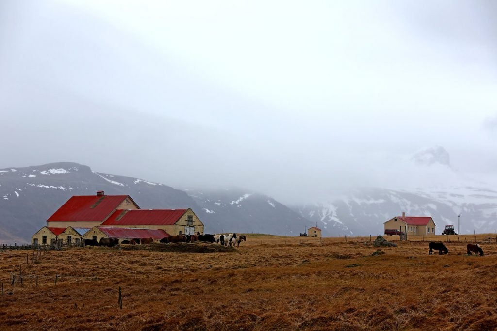 IJsland: de koude weg
