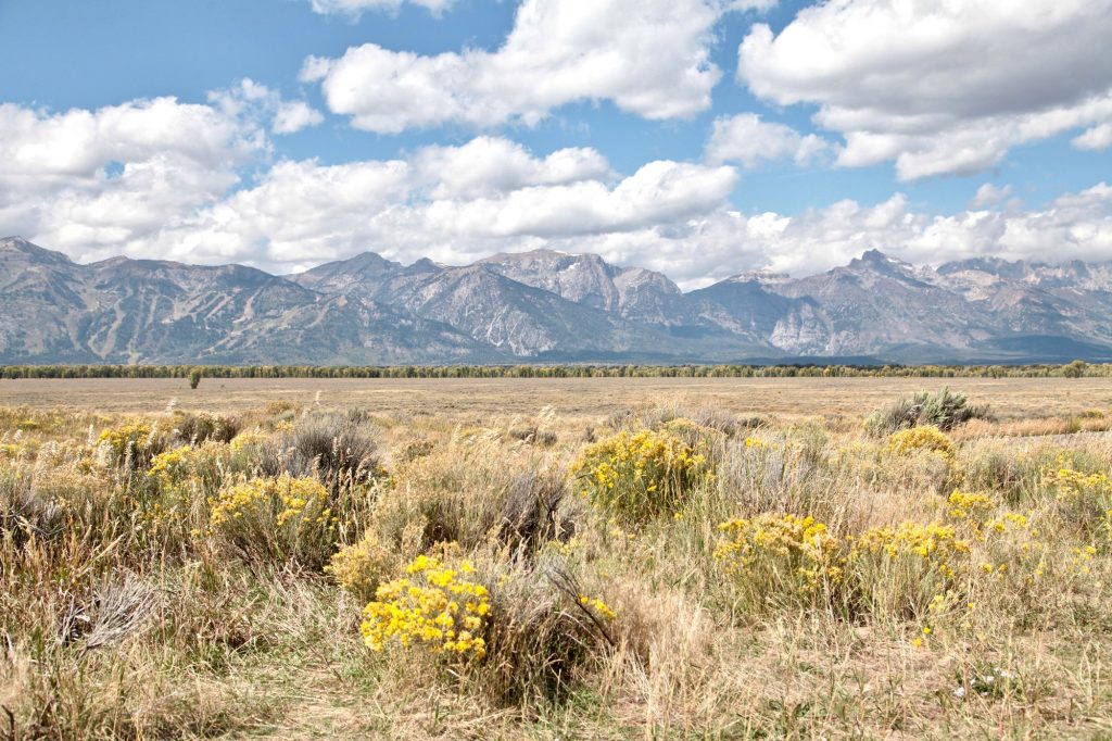 Op roadtrip door Amerika's vergeten staten - Montana