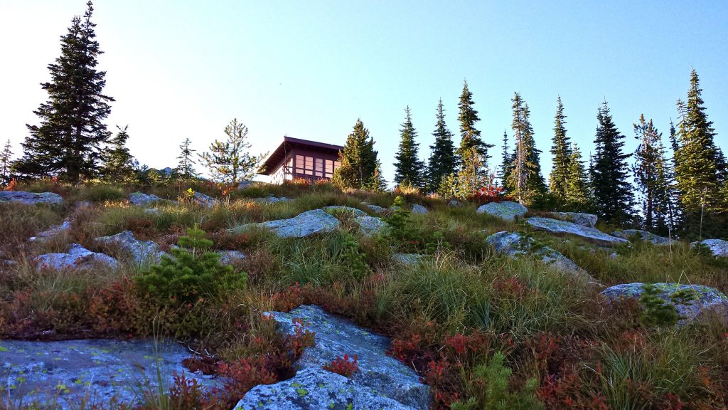 Op roadtrip door Amerika's vergeten staten - Shorty Peak