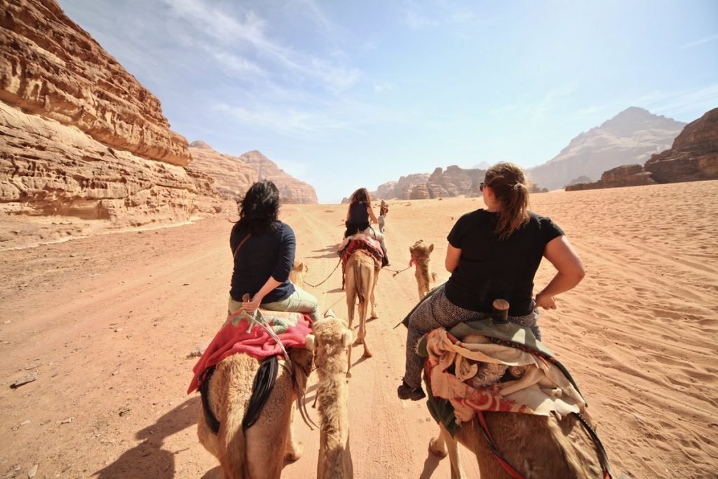 Jordanië - Wadi Rum kamelen