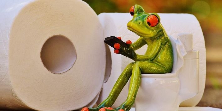 frog toilet mobile pixabay