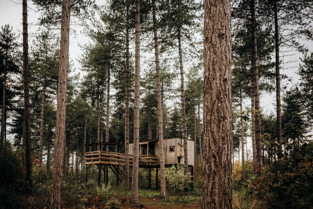 Logeertip in Limburg: proef van de natuur in de Hoge Kempen